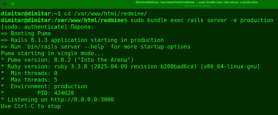 20_helpdesk_restarted_redmine_terminal.png