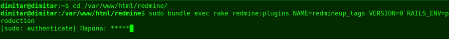 tags_03_downgrade_database_command.png