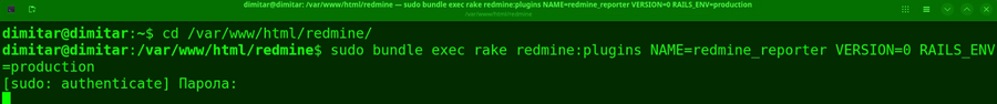 reporter_03_downgrade_database_command.png