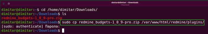 budgets_03_zip_file_copy_command_in_terminal.png