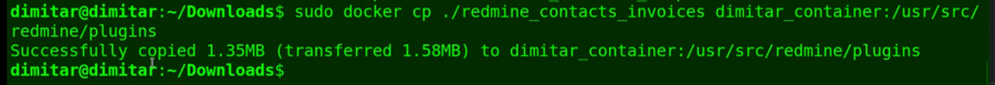 10_invoices_copied_file_in_container.png