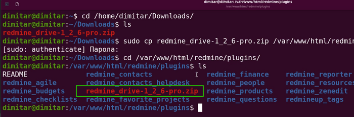drive_05_zip_copied_terminal.png