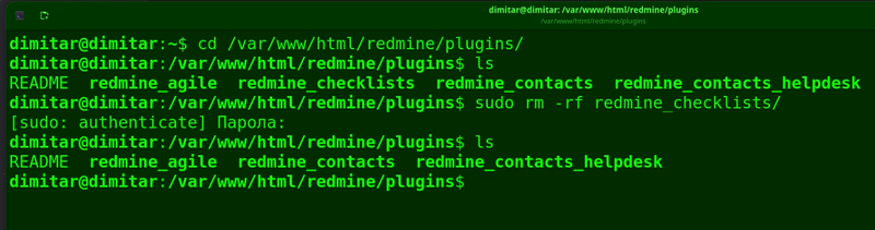08_checklists_list_files_deleted_terminal.png