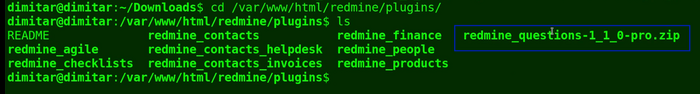 14_questions_copied_file_terminal.png