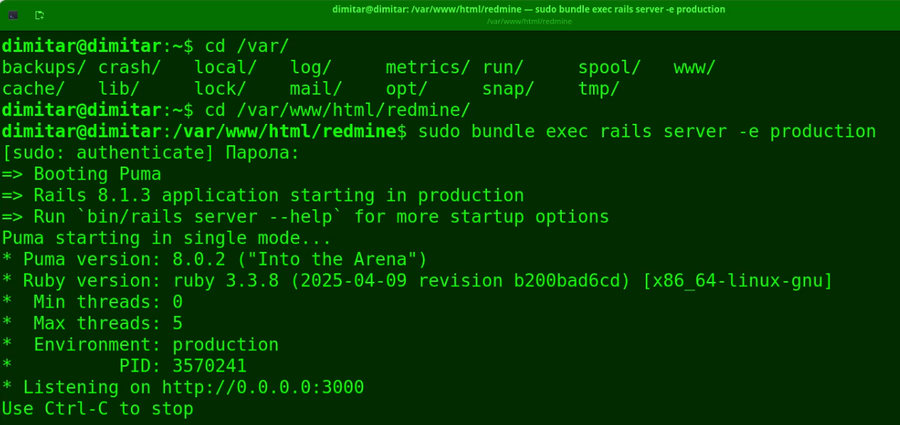 20_cms_restarted_redmine_terminal.png