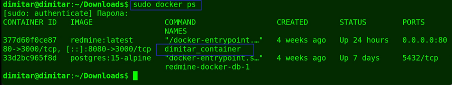 08_finance_sudo_docker_ps.png