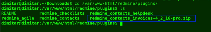 14_invoices_copied_file_terminal.png