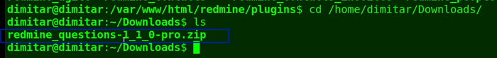 11_questions_new_version_downloads_folder_terminal.png