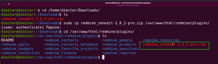 zenedit_05_zip_copied_terminal.png
